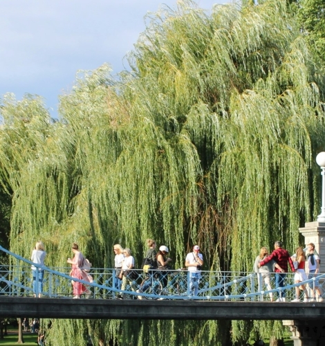 People walking in the bridge